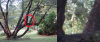 tree4.jpg